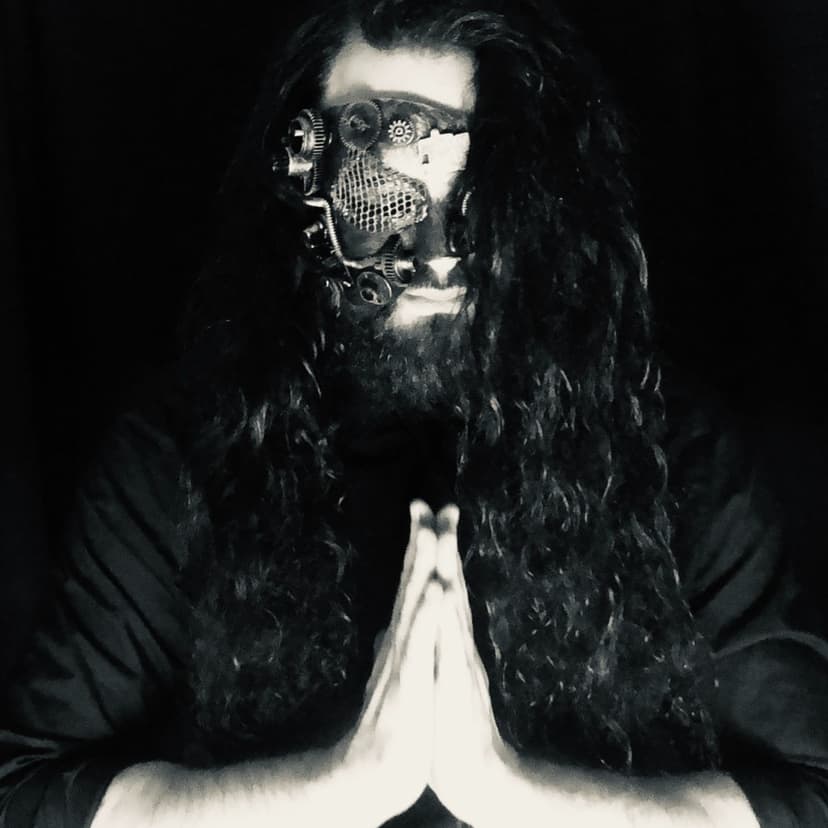 The Vigilante