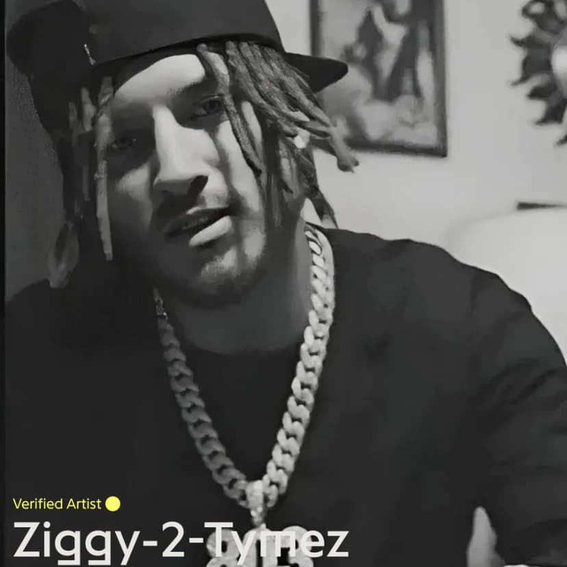 Ziggy-2-Tymez